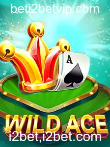 Explorando WildAce: Um Mergulho no Universo do Jogo